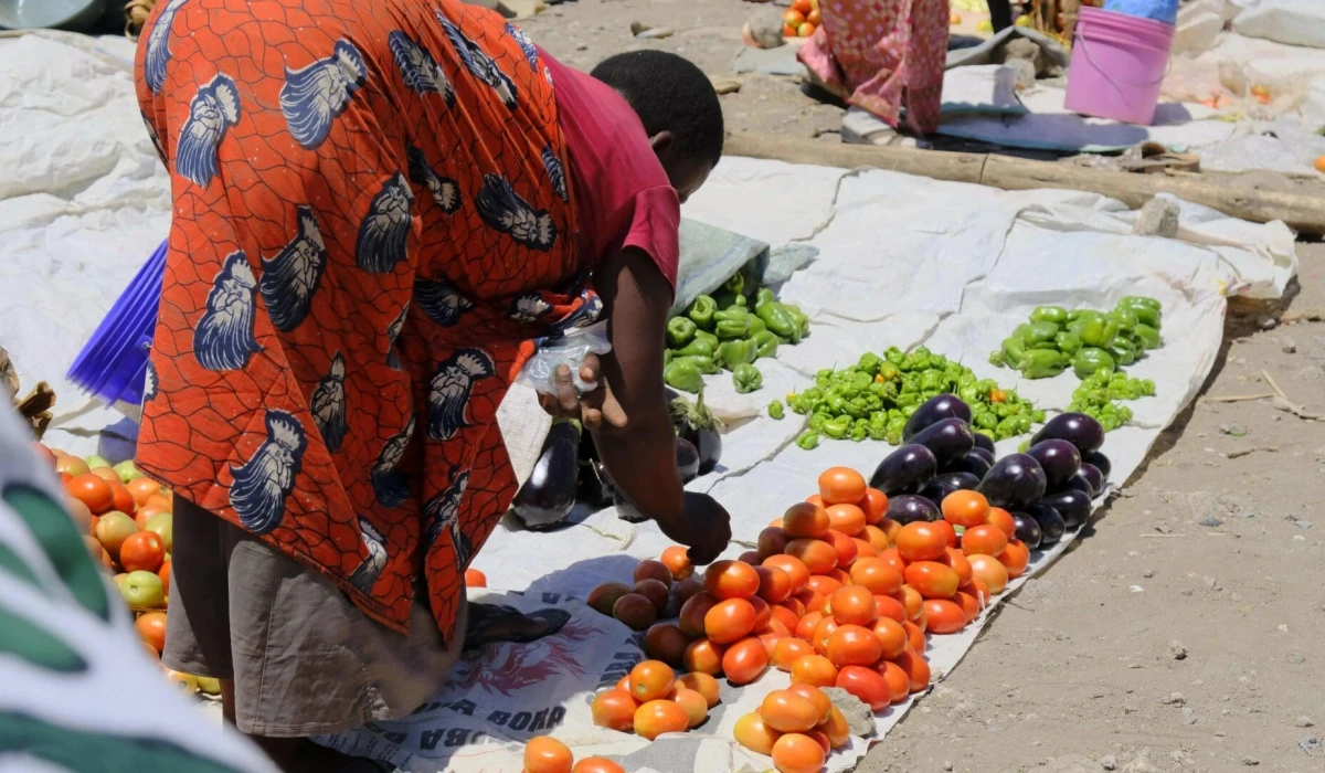 Visit to Local Markets