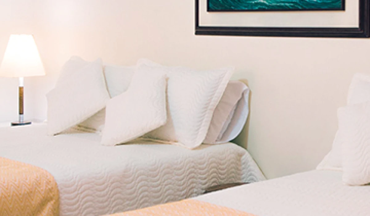 From Safari to Sunset: A Perfect Day at Great View Lodge