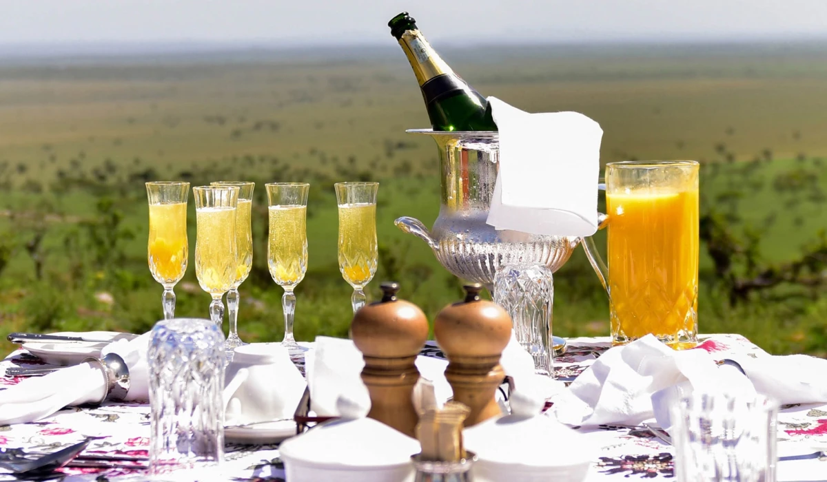 Top Activities to Experience at Great View Lodge