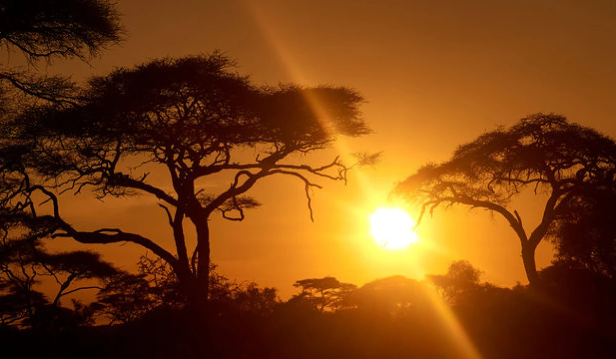 Experience Sunrise Like Never Before at Great View Lodge