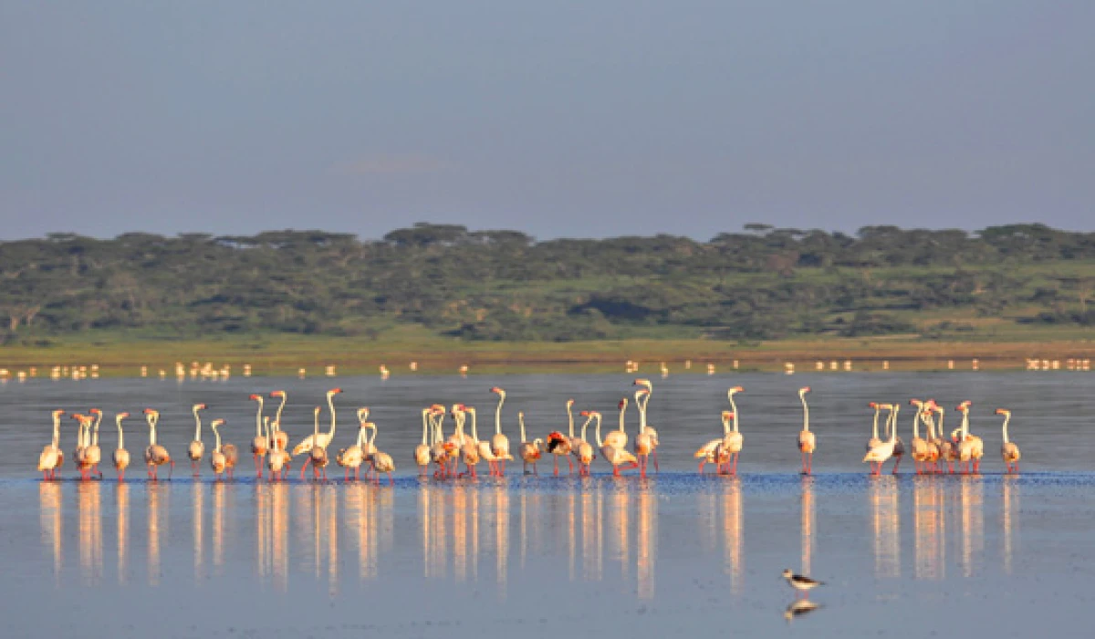 Why Photographers Absolutely Love Great View Lodge